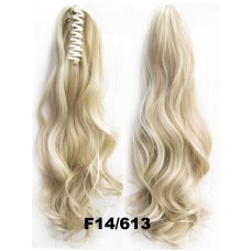 Brazilian Paardenstaart F14/613