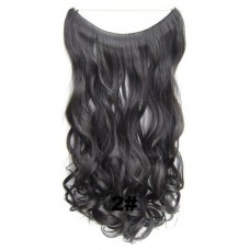 Wire hair wavy 2#