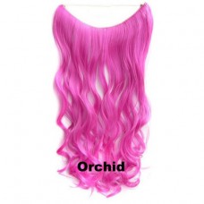 Wire hair wavy Orchid