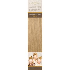 Flip-In Hair Pasoday Ponytail - 20 Honey Blonde