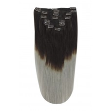 Remy Human Hair extensions Double Weft straight - bruin / grijs T2/SG#