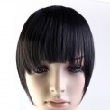 Clip in ponnie